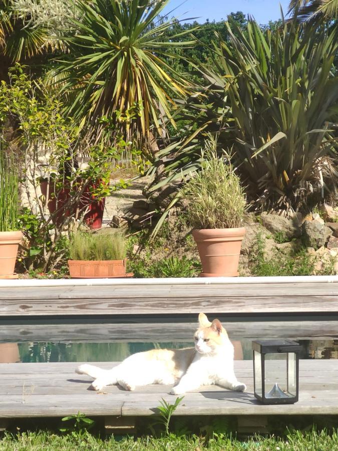 Appartement La petite Hautière Maison 2 personnes Plouer sur Rance avec piscine Extérieur photo